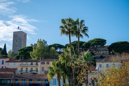 Analyse-marche-immobilier-cannes